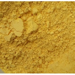 Jaune d'oeuf Jaune d'oeuf