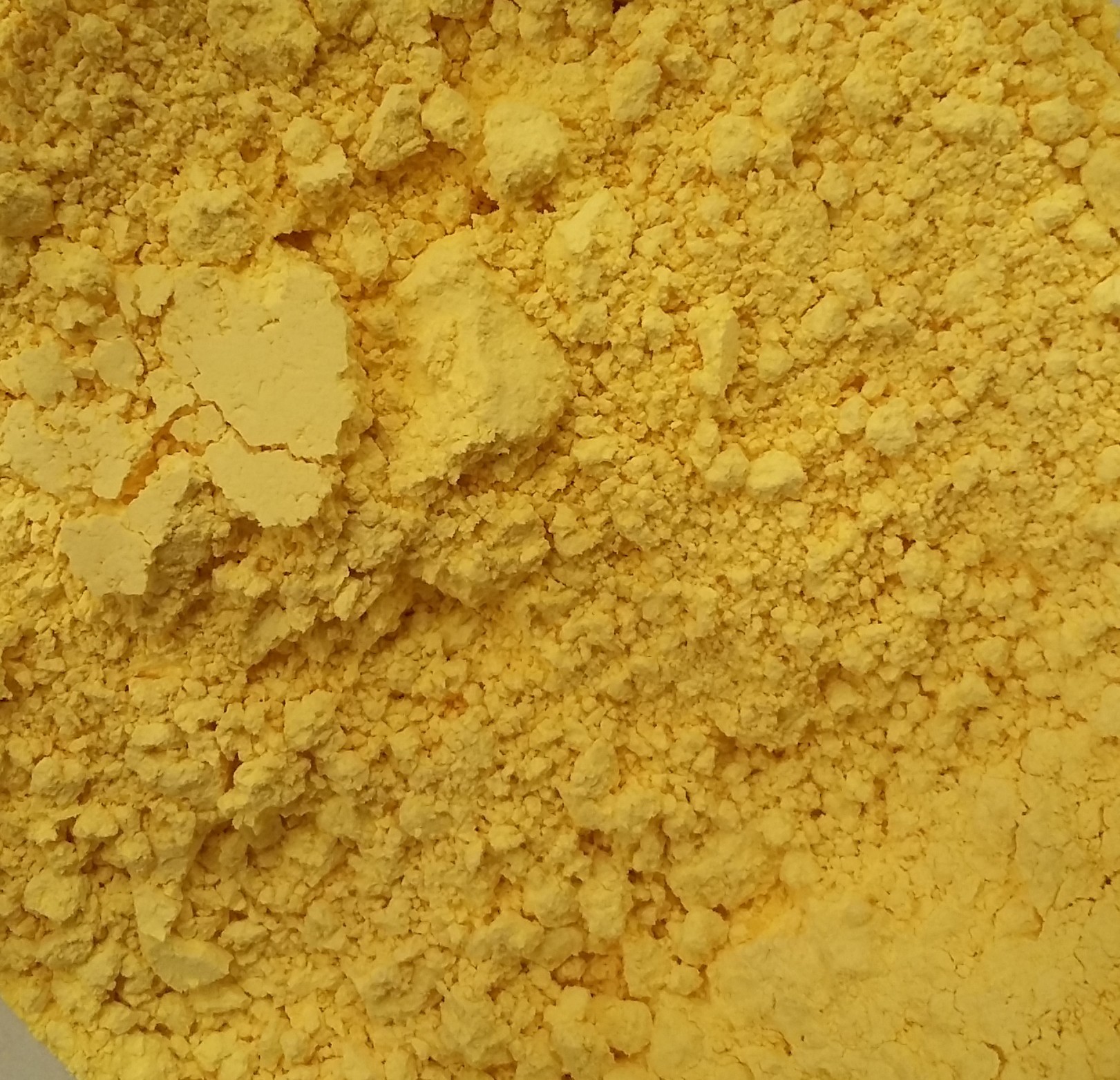 Jaune d'oeuf pot 100 grammes