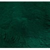 PIGMENT VERT EMPIRE N°4680