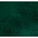 PIGMENT VERT EMPIRE N°4680