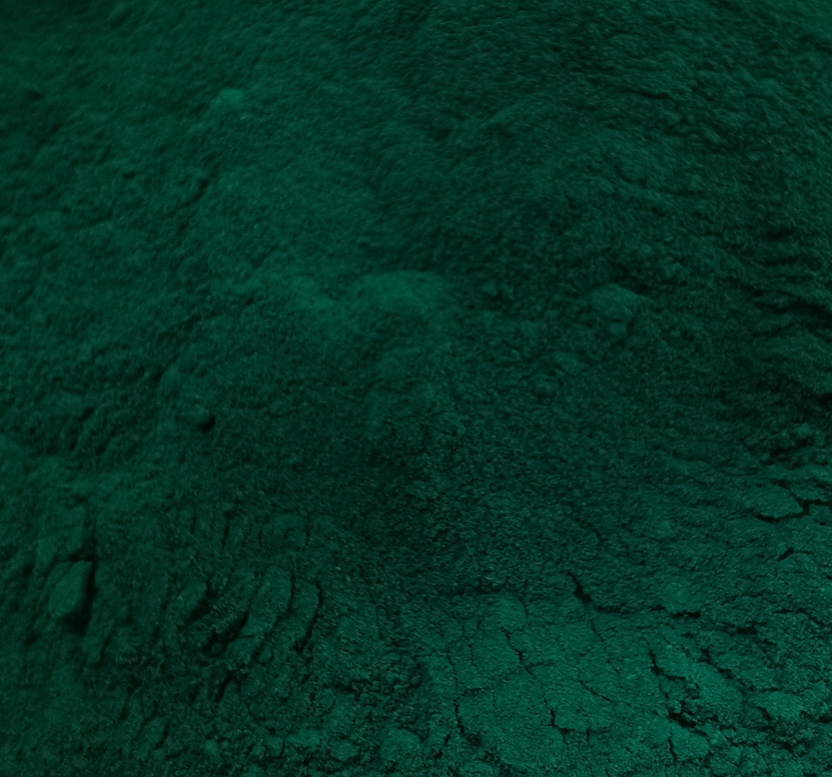 PIGMENT VERT EMPIRE pot de 100 gr