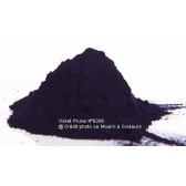 Pigment violet Prune  MC (Moulin à Couleurs) 6308